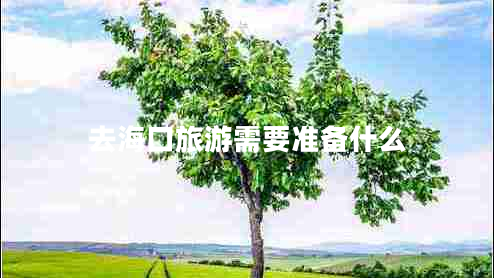 去海口旅游需要准备什么