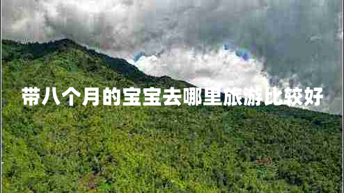 带八个月的宝宝去哪里旅游比较好