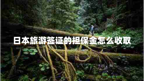 日本旅游签证的担保金怎么收取 日本旅游签证的担保金怎么收取