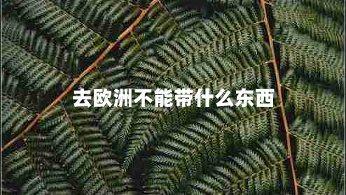 去欧洲不能带什么东西
