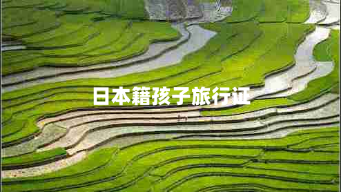 日本籍孩子旅行证 日本籍孩子旅行证