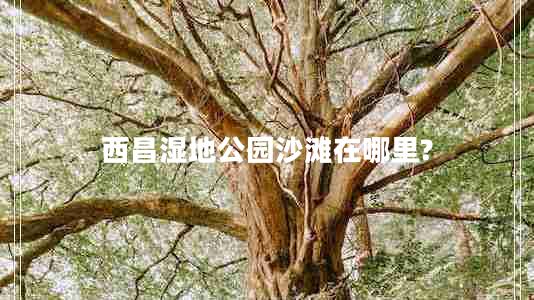 西昌湿地公园沙滩在哪里?