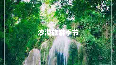 沙漠旅游季节