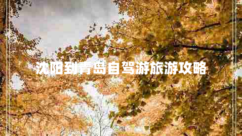 沈阳到青岛自驾游旅游攻略