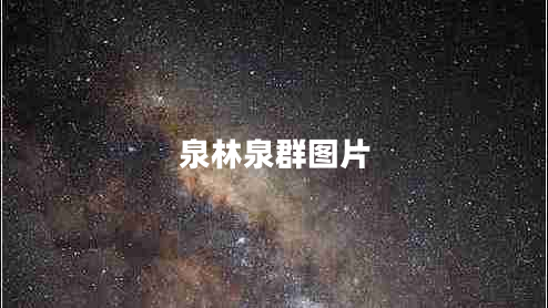 泉林泉群图片