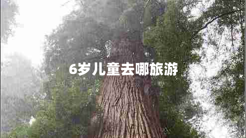 6岁儿童去哪旅游