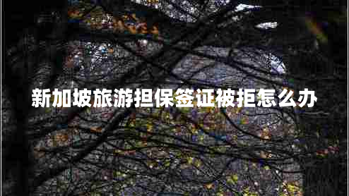 新加坡旅游担保签证被拒怎么办