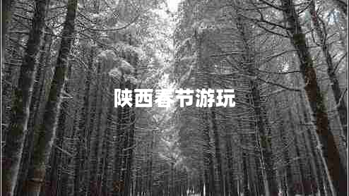 陕西春节游玩