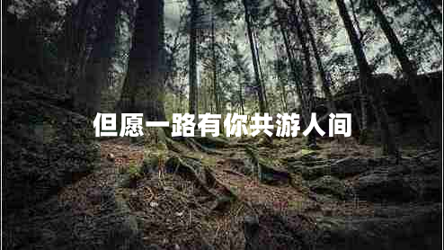 但愿一路有你共游人间