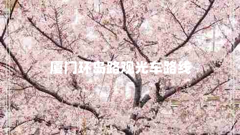 厦门环岛路观光车路线
