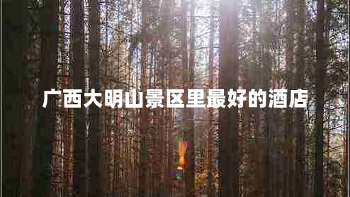 广西大明山景区里最好的酒店
