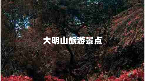 大明山旅游景点