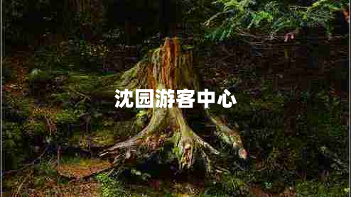沈园游客中心
