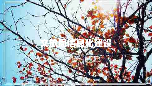 文旅局信息化建设