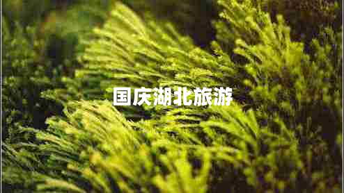 国庆湖北旅游