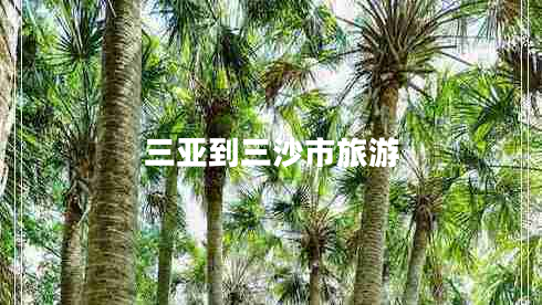 三亚到三沙市旅游