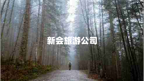 新会旅游公司