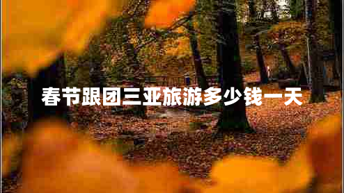 春节跟团三亚旅游多少钱一天 春节跟团三亚旅游多少钱一天