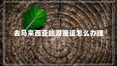 去马来西亚旅游签证怎么办理