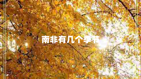 南非有几个季节