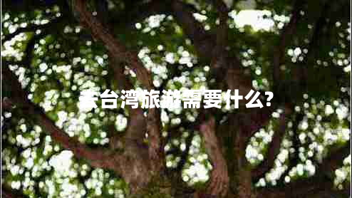 去台湾旅游需要什么?