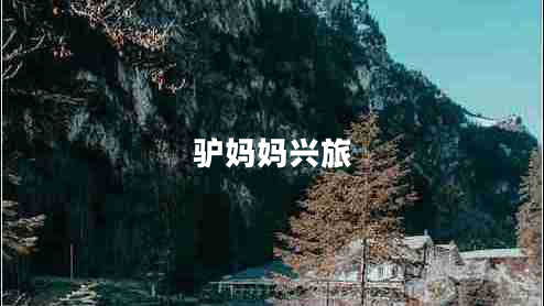 驴妈妈兴旅