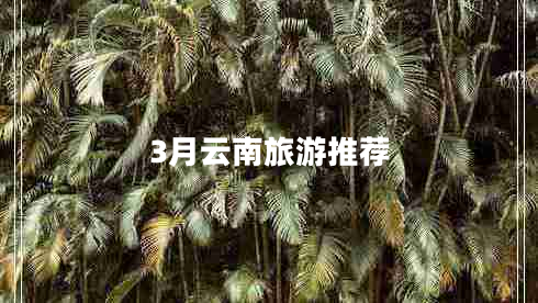3月云南旅游推荐