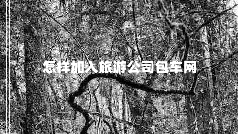 怎样加入旅游公司包车网 怎样加入旅游公司包车网