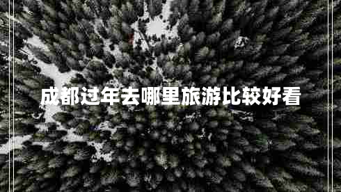 成都过年去哪里旅游比较好看