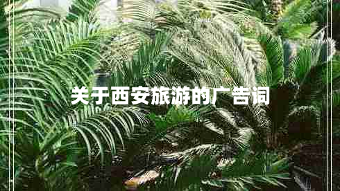 关于西安旅游的广告词