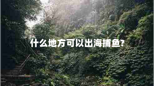 什么地方可以出海捕鱼?