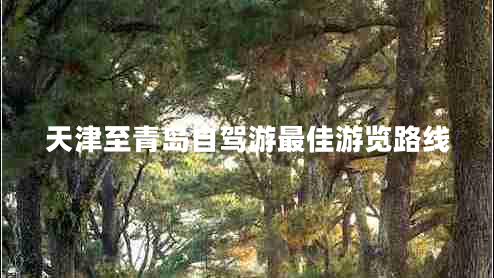 天津至青岛自驾游最佳游览路线