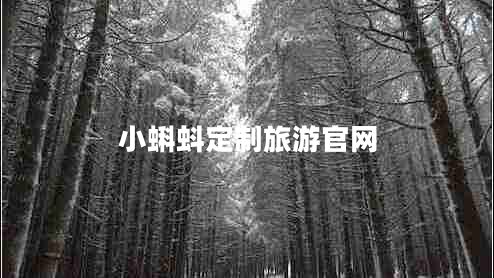 小蝌蚪定制旅游官网