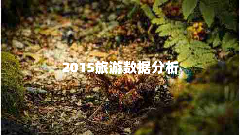2015旅游数据分析