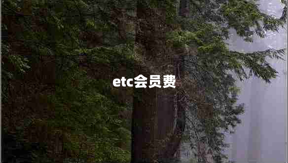 etc会员费