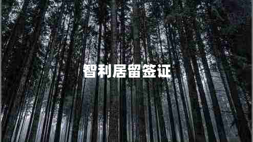 智利居留签证