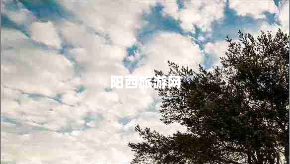 阳西旅游网