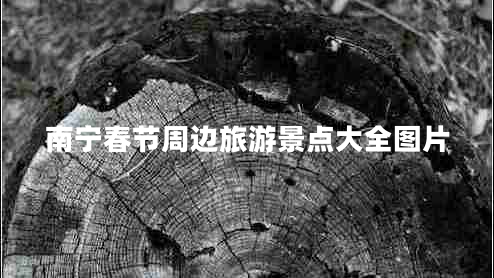南宁春节周边旅游景点大全图片 南宁春节周边旅游景点大全图片
