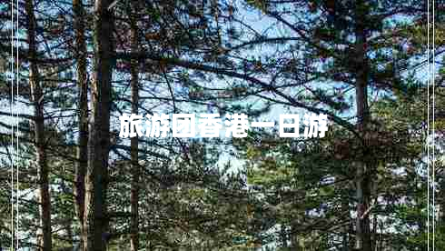 旅游团香港一日游