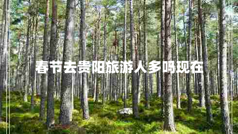 春节去贵阳旅游人多吗现在