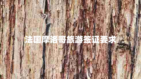 法国摩洛哥旅游签证要求