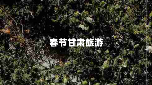 春节甘肃旅游