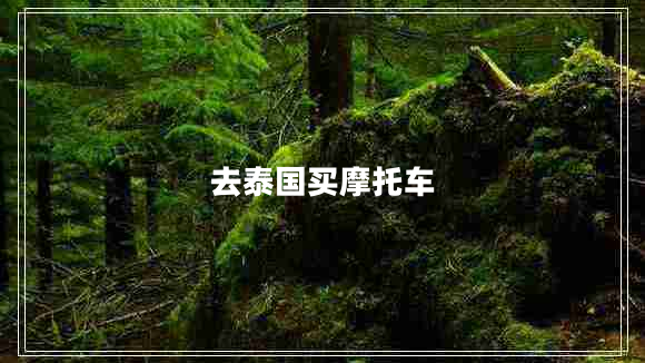 去泰国买摩托车
