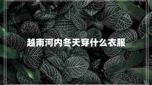 越南河内冬天穿什么衣服 越南河内冬天穿什么衣服