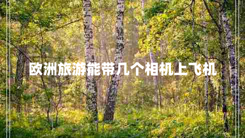 欧洲旅游能带几个相机上飞机