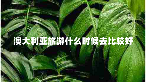 澳大利亚旅游什么时候去比较好 澳大利亚旅游什么时候去比较好