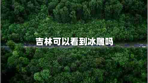 吉林可以看到冰雕吗