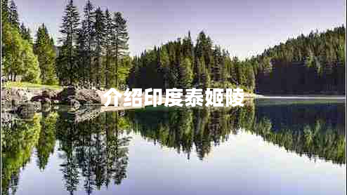 介绍印度泰姬陵