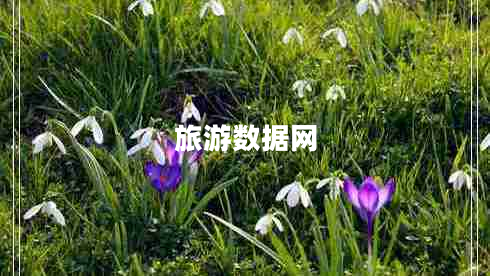 旅游数据网