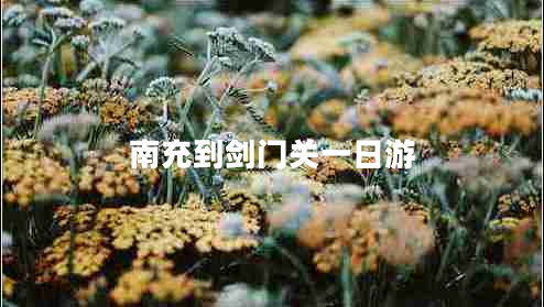 南充到剑门关一日游